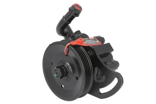 Hydraulic steering pump fits