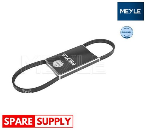Ribbed belts for peugeot 205 - belts,