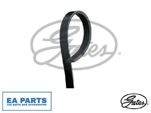 Ribbed belts for nissan - v-ribbed,
