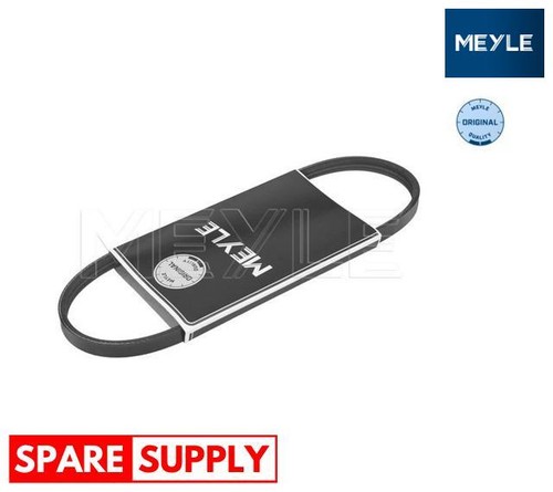 Ribbed belts for fiat brava - fiat,