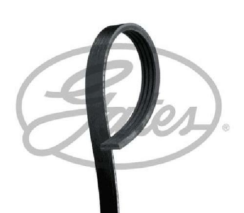 Original gates ribbed belt - original, v-ribbed