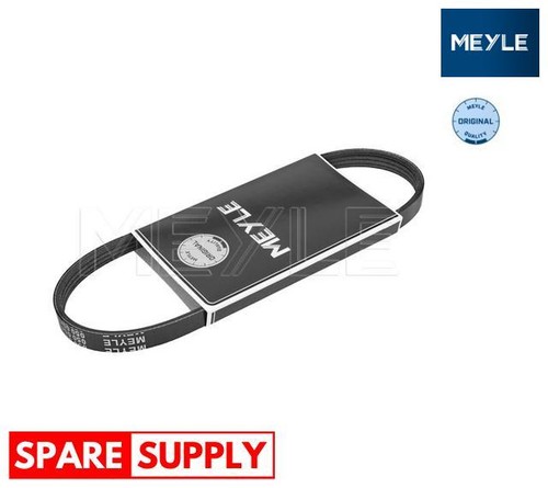 Ribbed belts for fiat - v-ribbed,