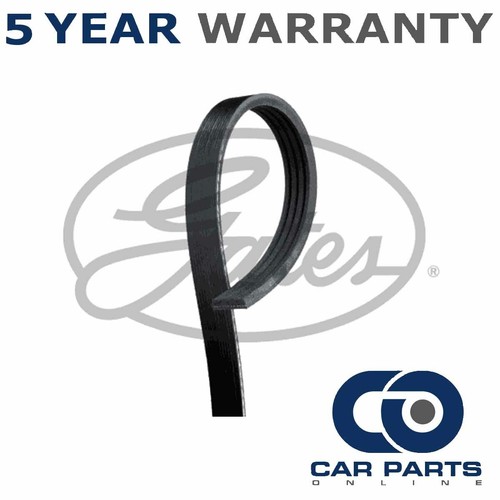 Gates ribbed belts fits - v-ribbed,