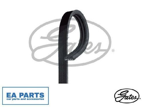 Ribbed belts for - v-ribbed, fiat