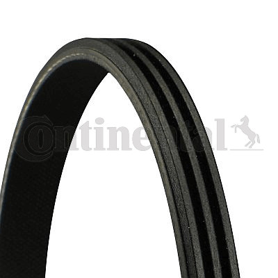 Ribbed belts for fiat - v-ribbed, albea