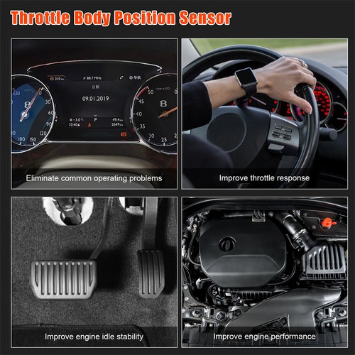 Throttle body assembly - throttle, for