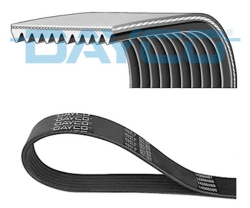 Fits dayco 10pk1425hd - fits,