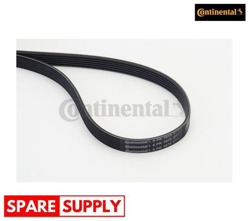 Ribbed belts for - v-ribbed,